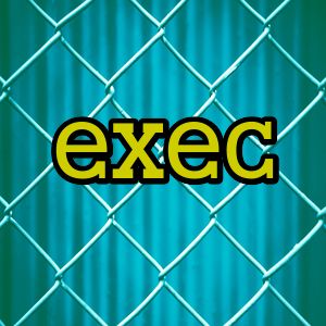 exec